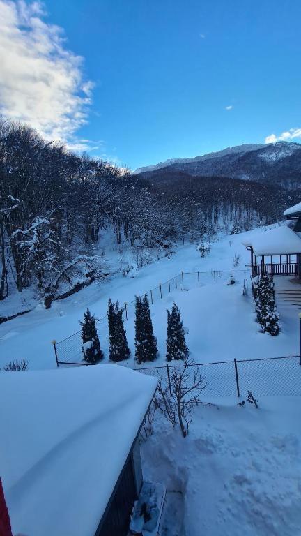 Villa Jelena Mavrovo Exterior foto